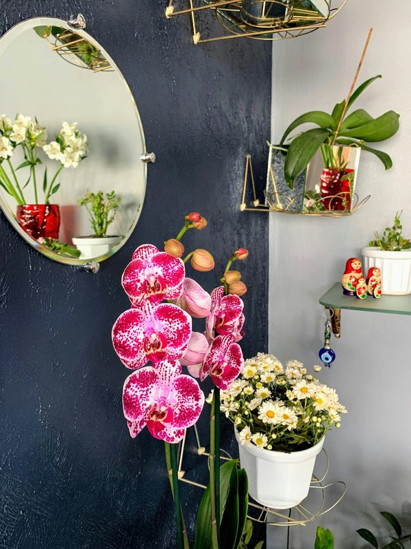 Achat en ligne décoration et maison: soldes d'été jusqu'à -60%