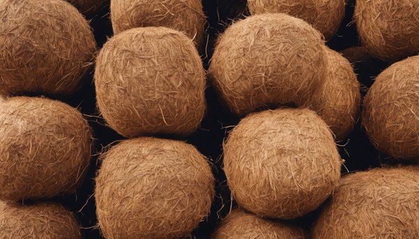 Choisir la toile de coco : un atout durable pour votre extérieur